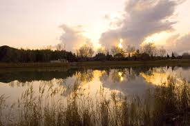 la camargue