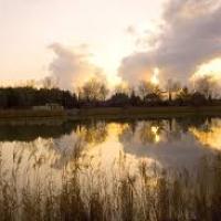 la camargue