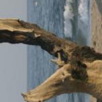 plage_2.3408384a1cc108683a4abf3533c597f0168