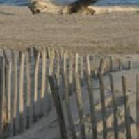 plage_arles.3408384a1cc108683a4abf3533c597f0168